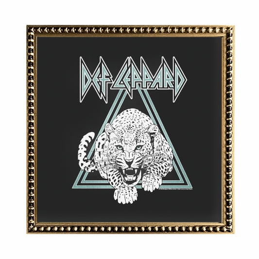 Cuadro Def Leppard Dark
