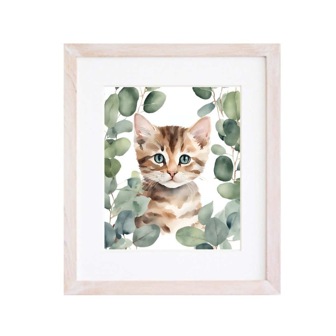 Cuadro Eucalipto Gato
