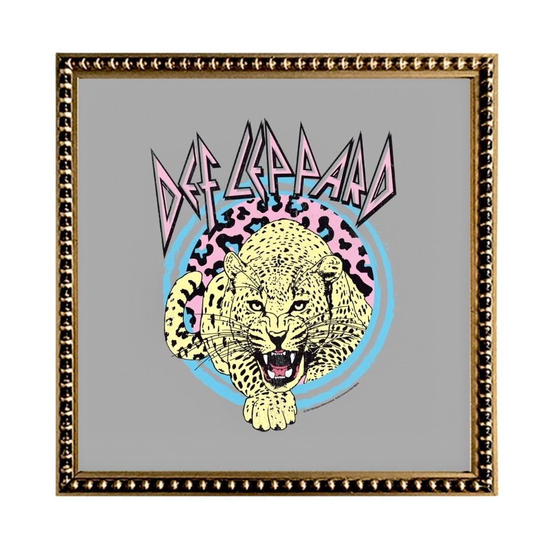 Cuadro Def Leppard Grey