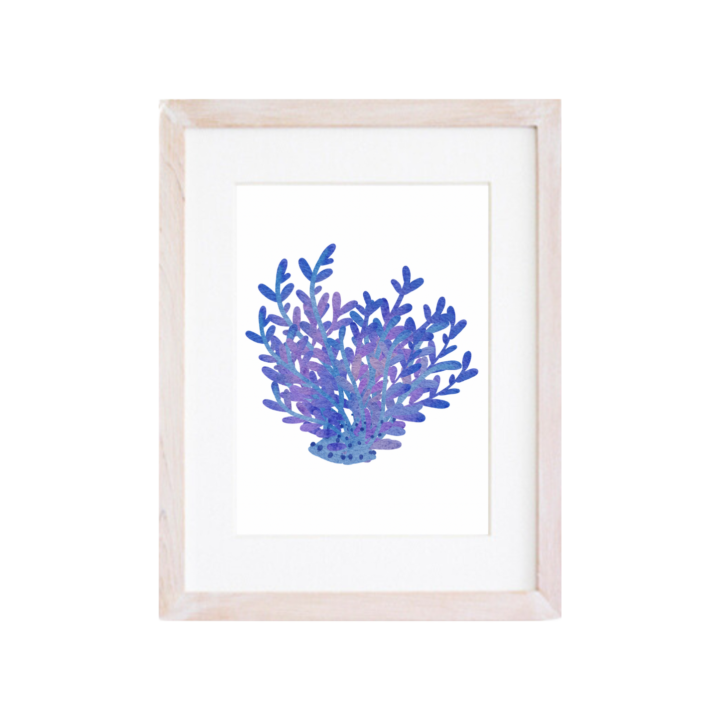Pack 2 Corales Azul Violeta