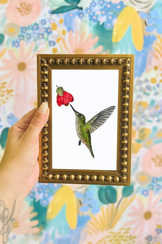 Mini Pajarito Chileno Colibrí