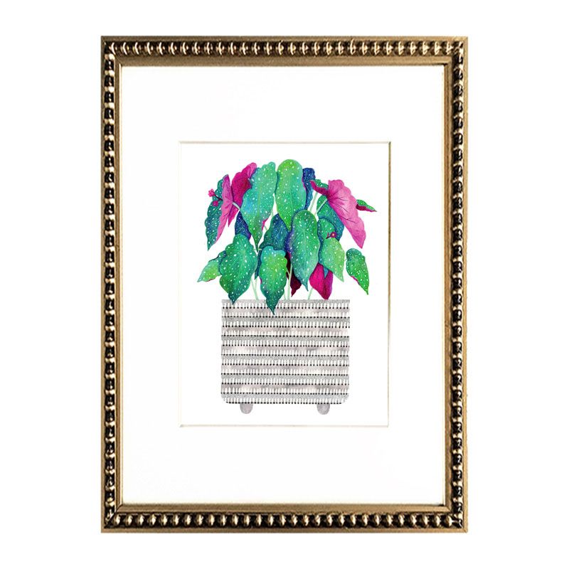 Cuadro Botanica III