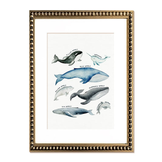 Cuadro Ballenas Amadas