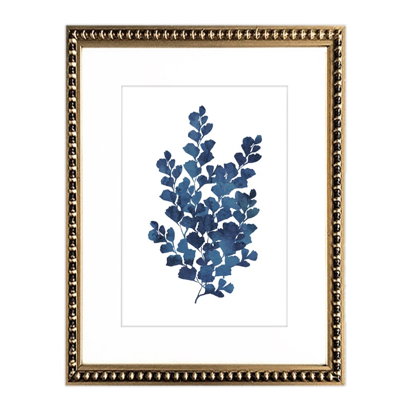 Cuadro Botanica Azul II