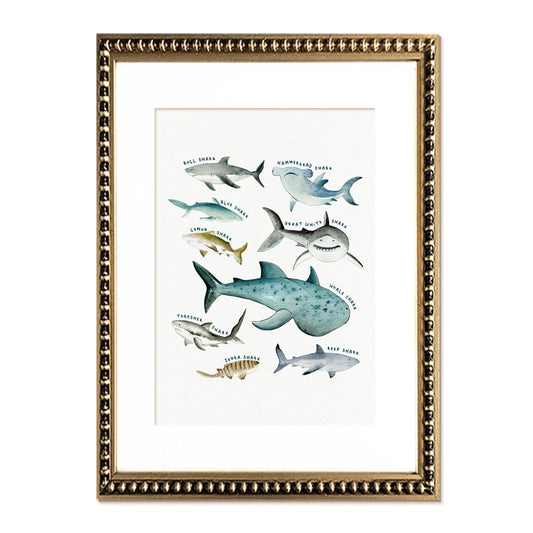 Cuadro Tiburones Amados