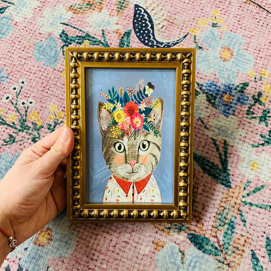 Mini Gato
