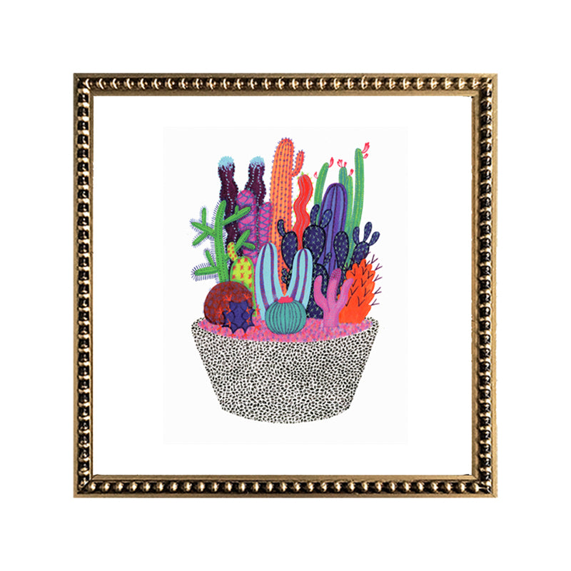 Pack 6 Natura Colores