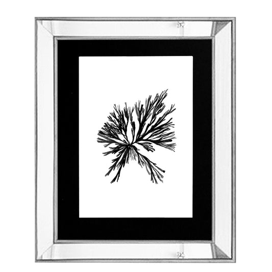 Cuadro Coral Negro III
