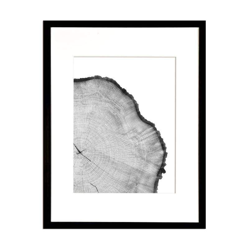 Pack 2 Cortezas de Arbol