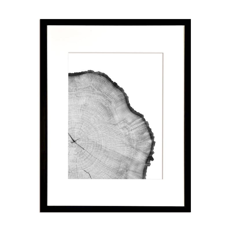 Cuadro Corteza de Arbol