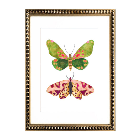 Cuadro Mariposas I