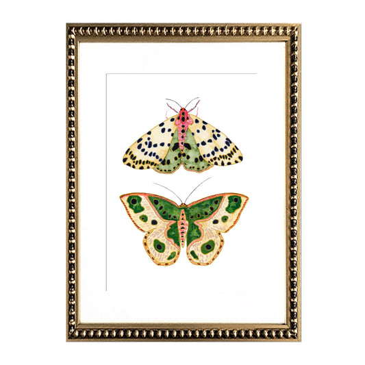 Cuadro Mariposas III