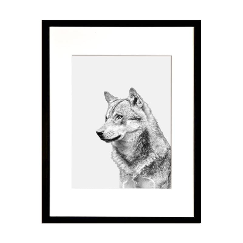 Cuadro Fotografía Lobo
