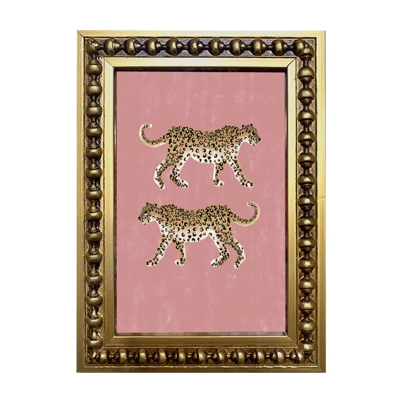 Mini Leopardos Rosa