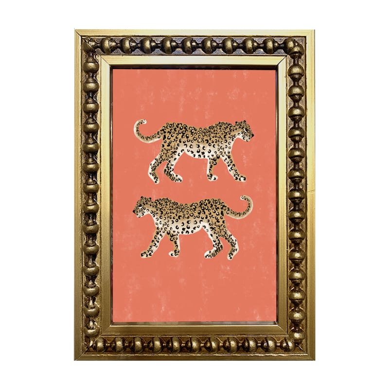 Mini Leopardos Sandia