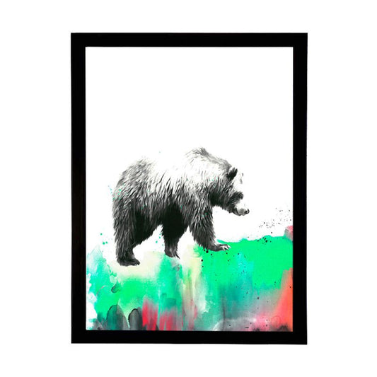 Oso Colores