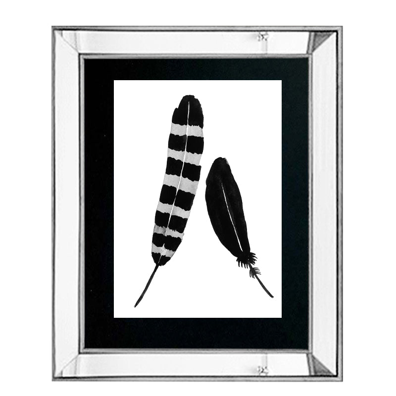 Pack 3 Cuadros Plumas