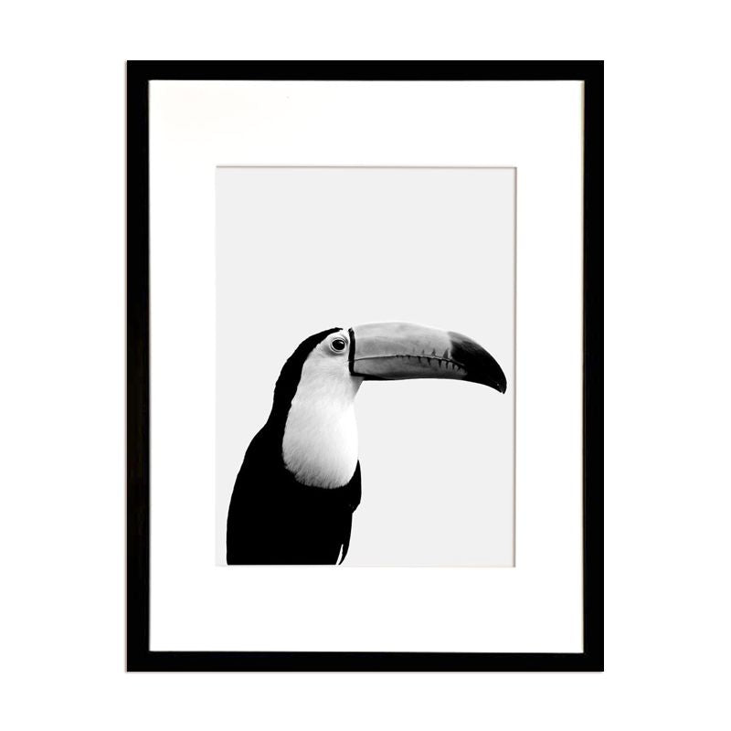 Cuadro Fotografía Tucán