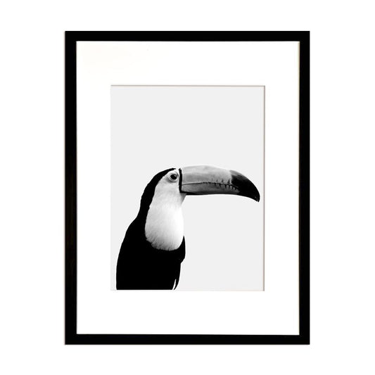 Cuadro Fotografía Tucán