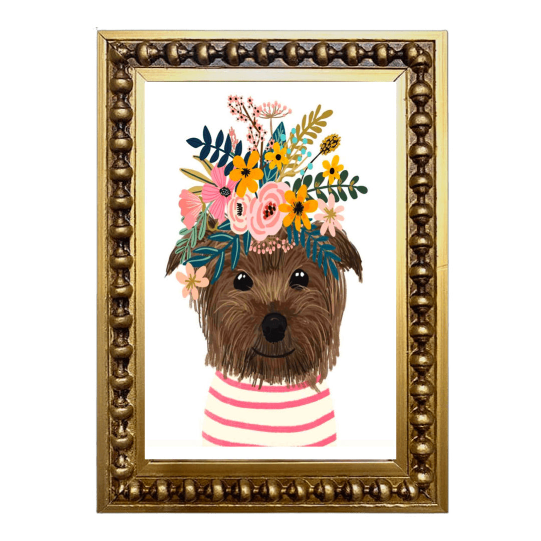 Mini Yorkie