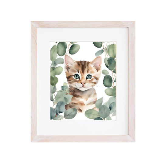 Cuadro Eucalipto Gato