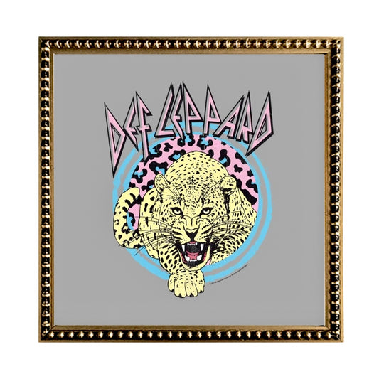 Cuadro Def Leppard Grey