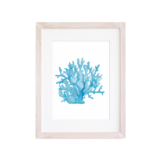 Cuadro Coral de Mar I