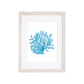 Cuadro Coral de Mar I