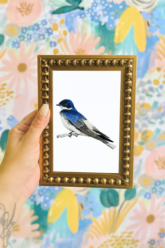 Mini Pajarito Chileno Golondrina