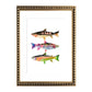 Cuadro Peces IV