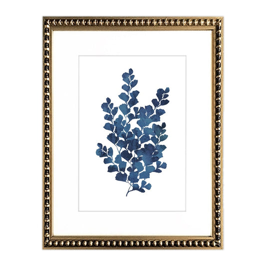 Cuadro Botanica Azul II