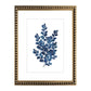 Cuadro Botanica Azul II