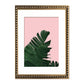 Pack 2 Plátano Rosa
