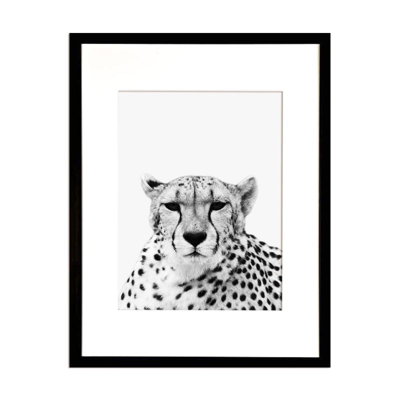Cuadro Fotografía Cheetah