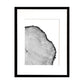 Pack 2 Cortezas de Arbol