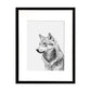 Cuadro Fotografía Lobo