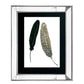 Pack 3 Cuadros Plumas