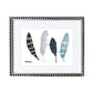 Plumas Gris y Azul