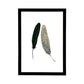 Tres Plumas Grises & Negro